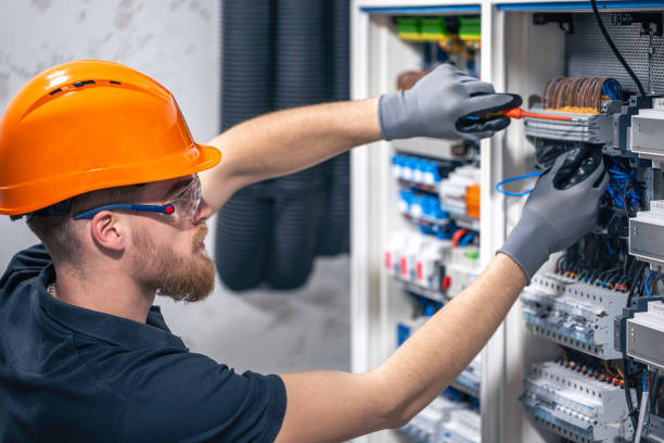 Best Electric Panel Repair  in Algoma, WI